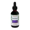 Quantum Health Black Elderberry Liquid Extract - Sambucus Nigra Immune Support Formula - 700mg | 59ml thumbnail